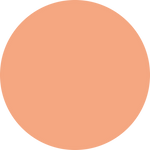 Shoreline Conversions Ltd conversion example 5