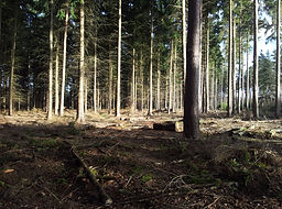 Wokingham Motorhomes conversion example 4