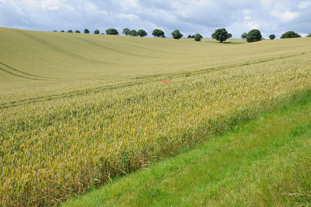 Photo: Philip Halling (CC BY-SA 2.0) Gloucestershire