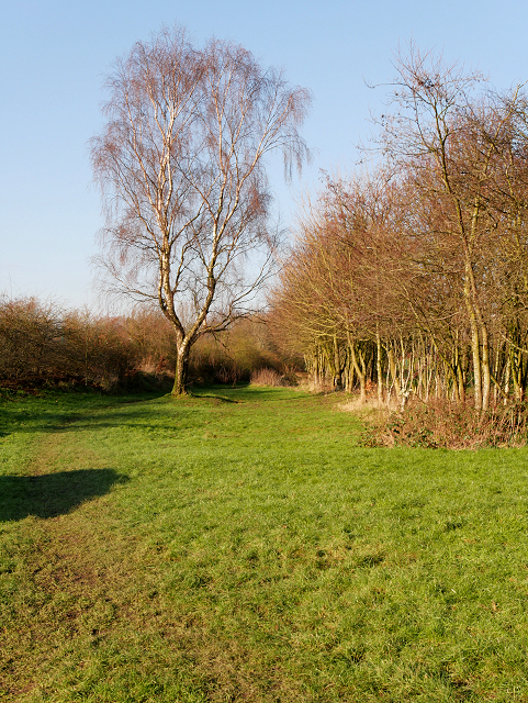 Photo: David Dixon (CC BY-SA 2.0) Greater Manchester