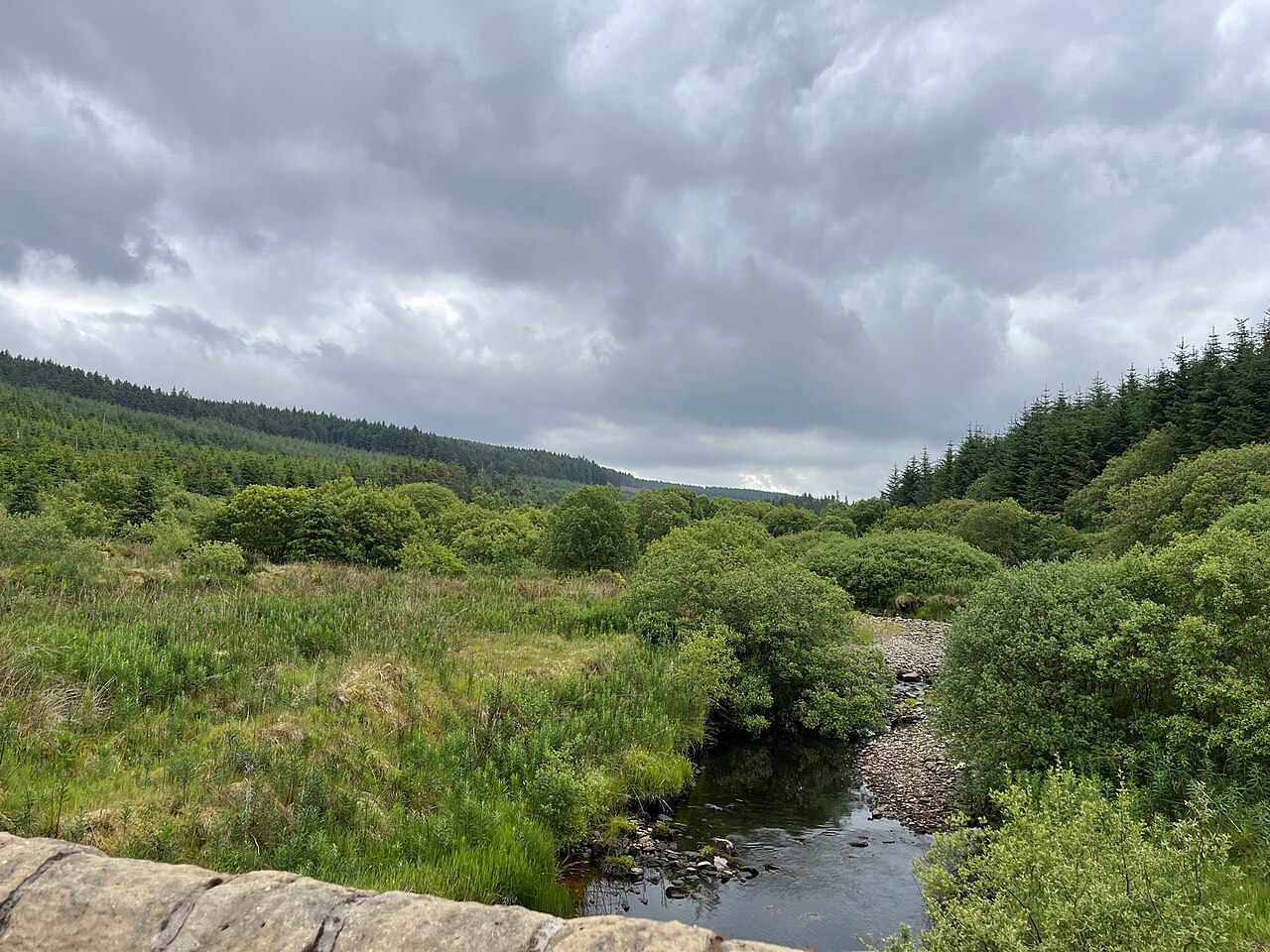 Photo: Michael Spence (CC BY-SA 4.0) County Londonderry