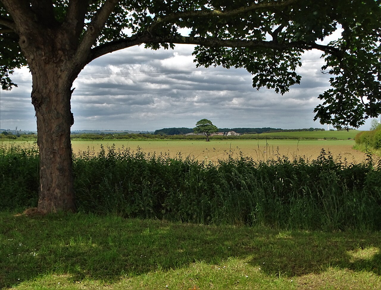 Photo: Neil Theasby (CC BY-SA 2.0) North Yorkshire