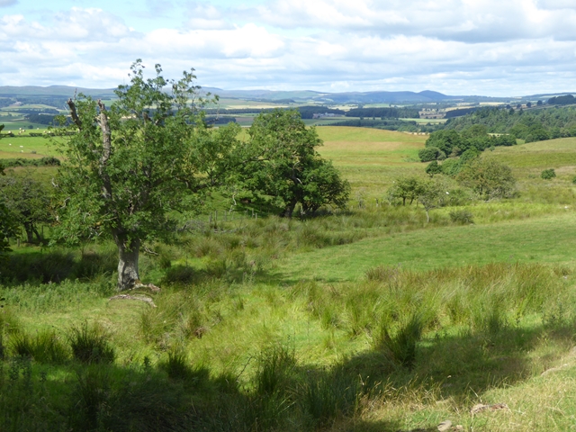 Northumberland