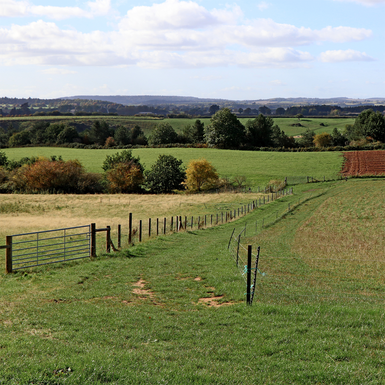 Photo: Roger D Kidd (CC BY-SA 2.0) Shropshire