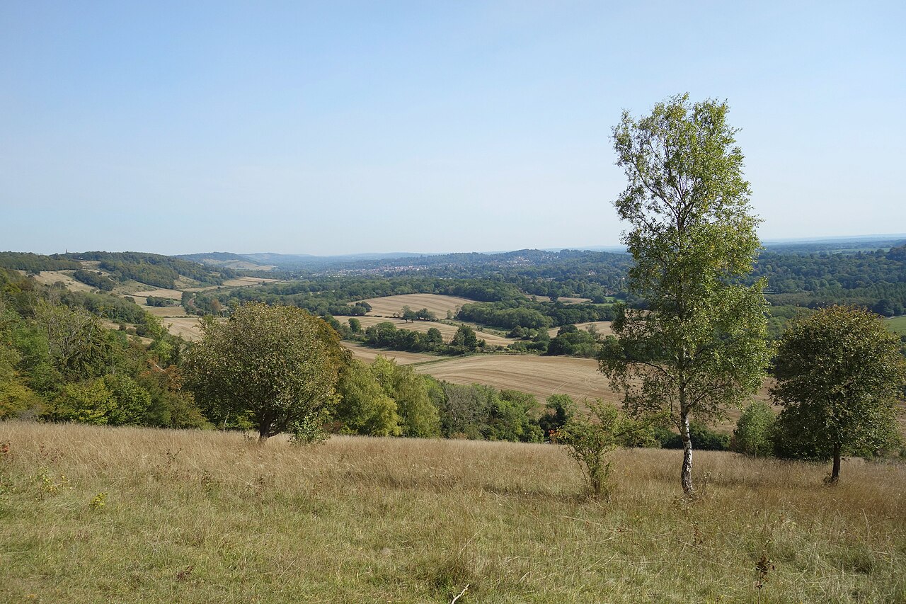Photo: Des Blenkinsopp (CC BY-SA 2.0) Surrey