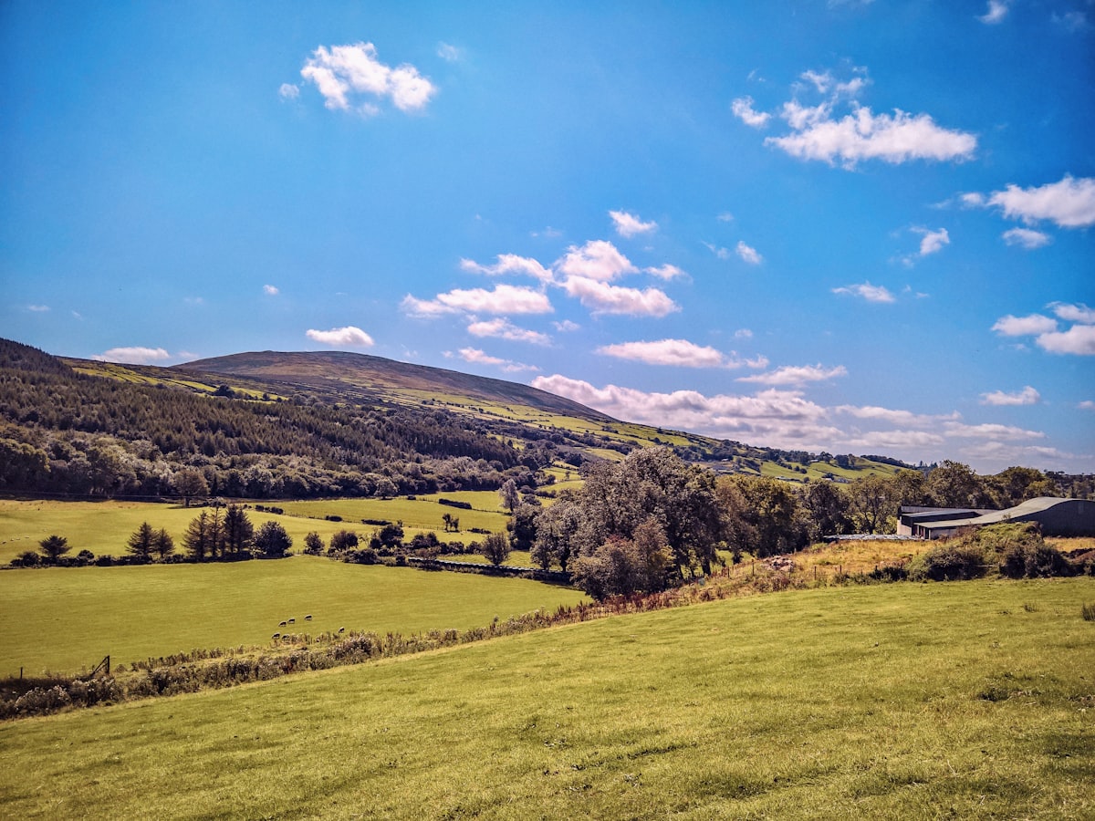 County Tyrone